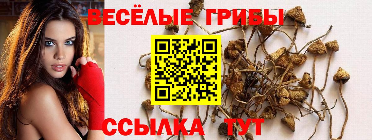 Псилоцибиновые грибы прущие грибы Кемерово