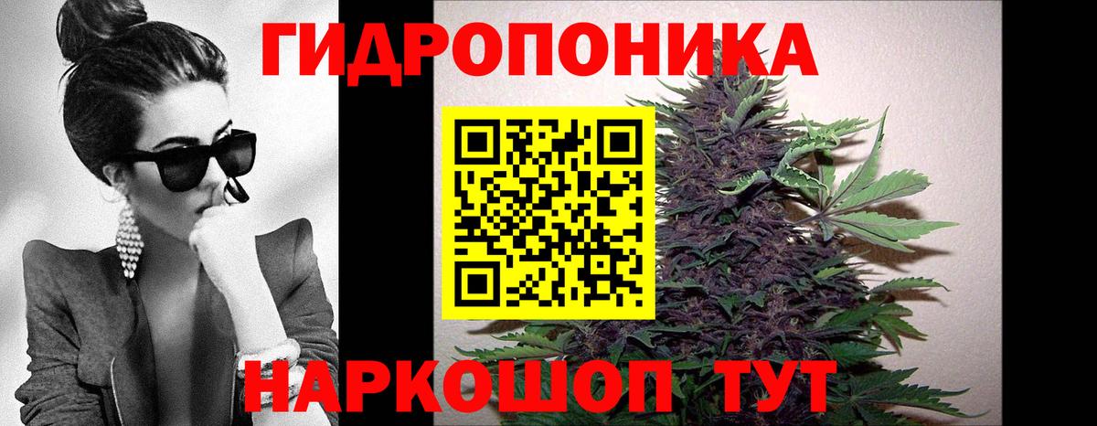 Конопля LSD WEED  Вход с VPN  Бошки марихуана тримм  Конопля конопля  Кемерово 